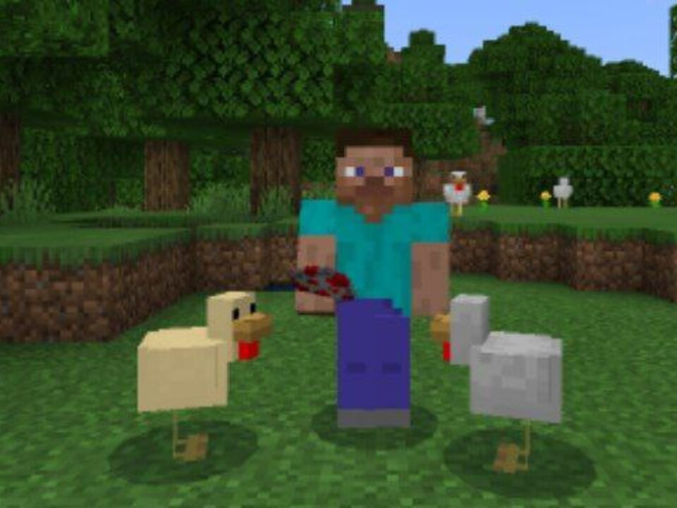 Chicken Mod for Minecraft PE