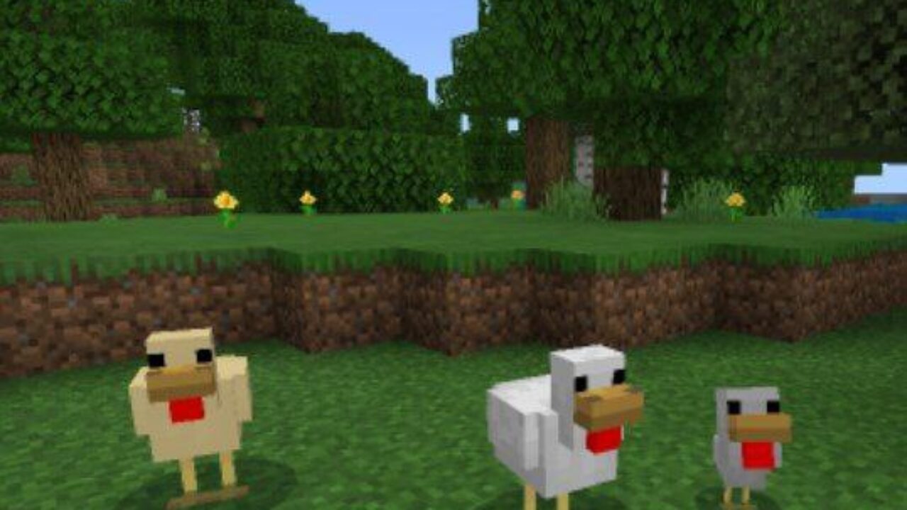 White Chicken from Chicken Mod for Minecraft PE