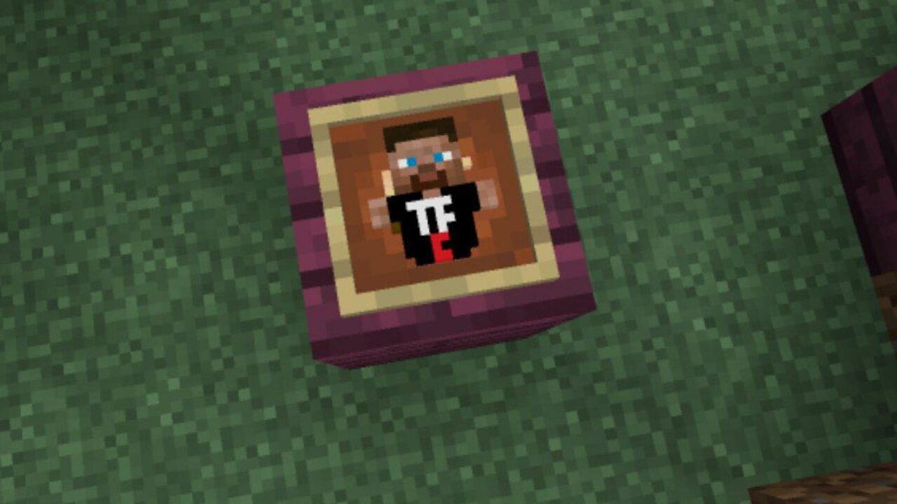 Totem in Frame from Hermitcraft Texture Pack for Minecraft PE