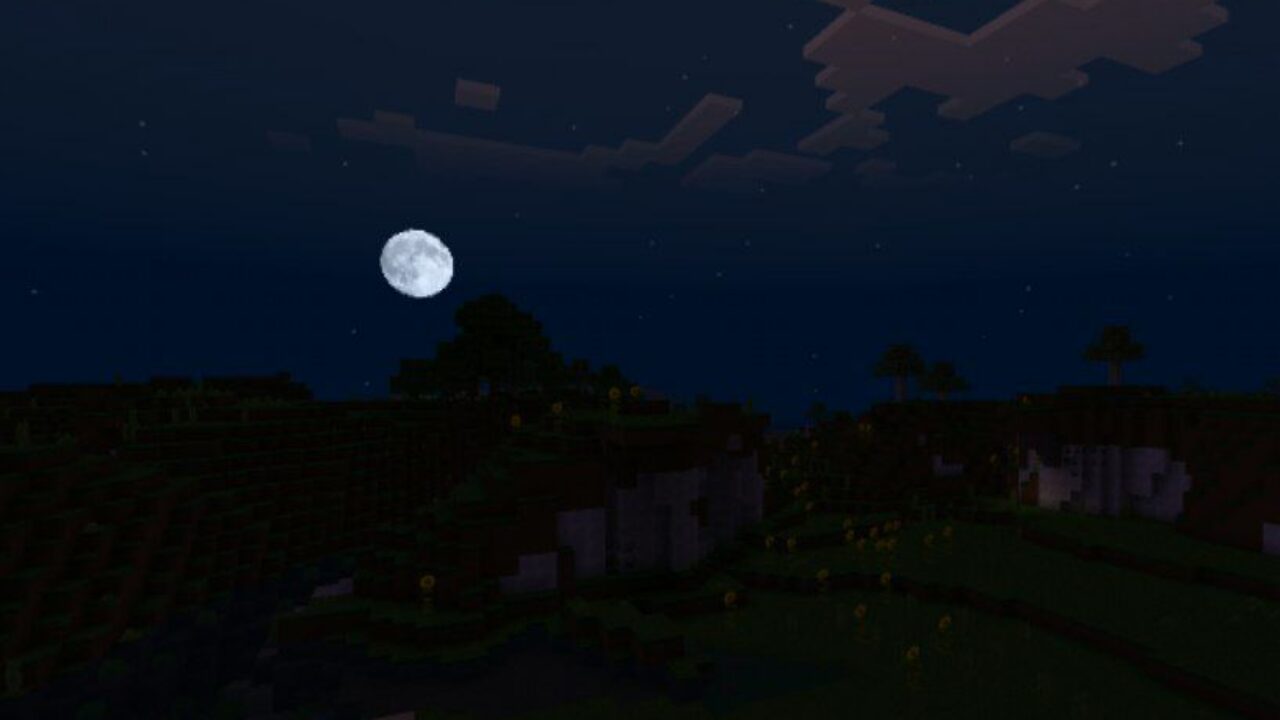 Night Sky from Ray Tracing Texture Pack for Minecraft PE