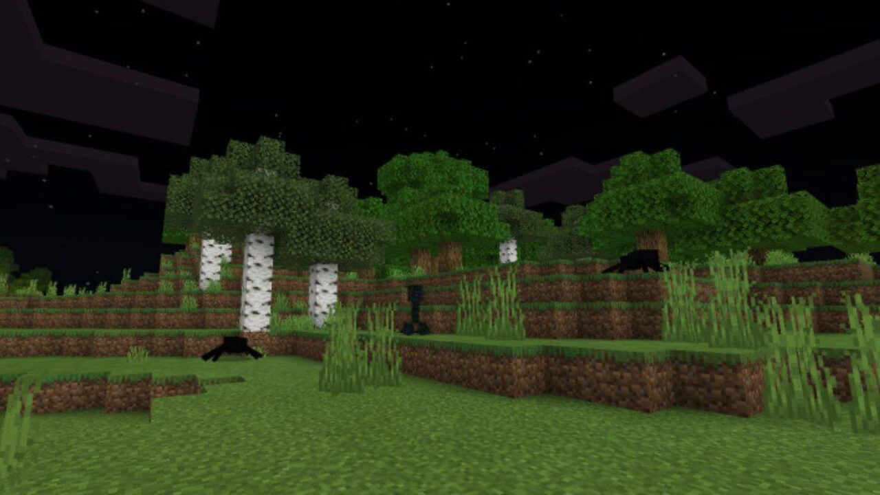 Forest from Night Vision Texture Pack for Minecraft PE