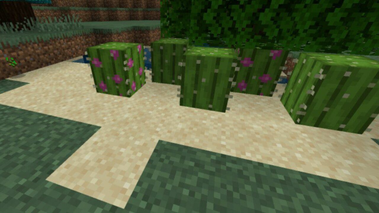 Blooming Cactus from Grass Texture Pack for Minecraft PE