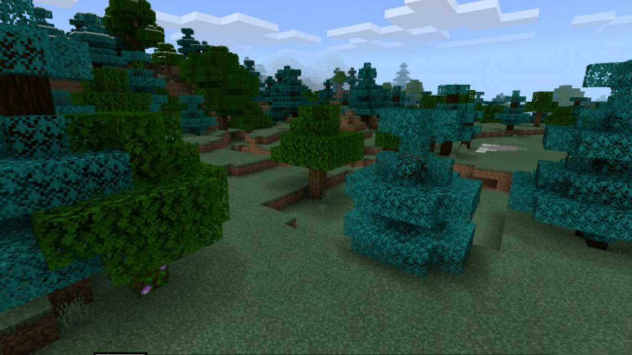 Different Types of Grass from Grass Texture Pack for Minecraft PE