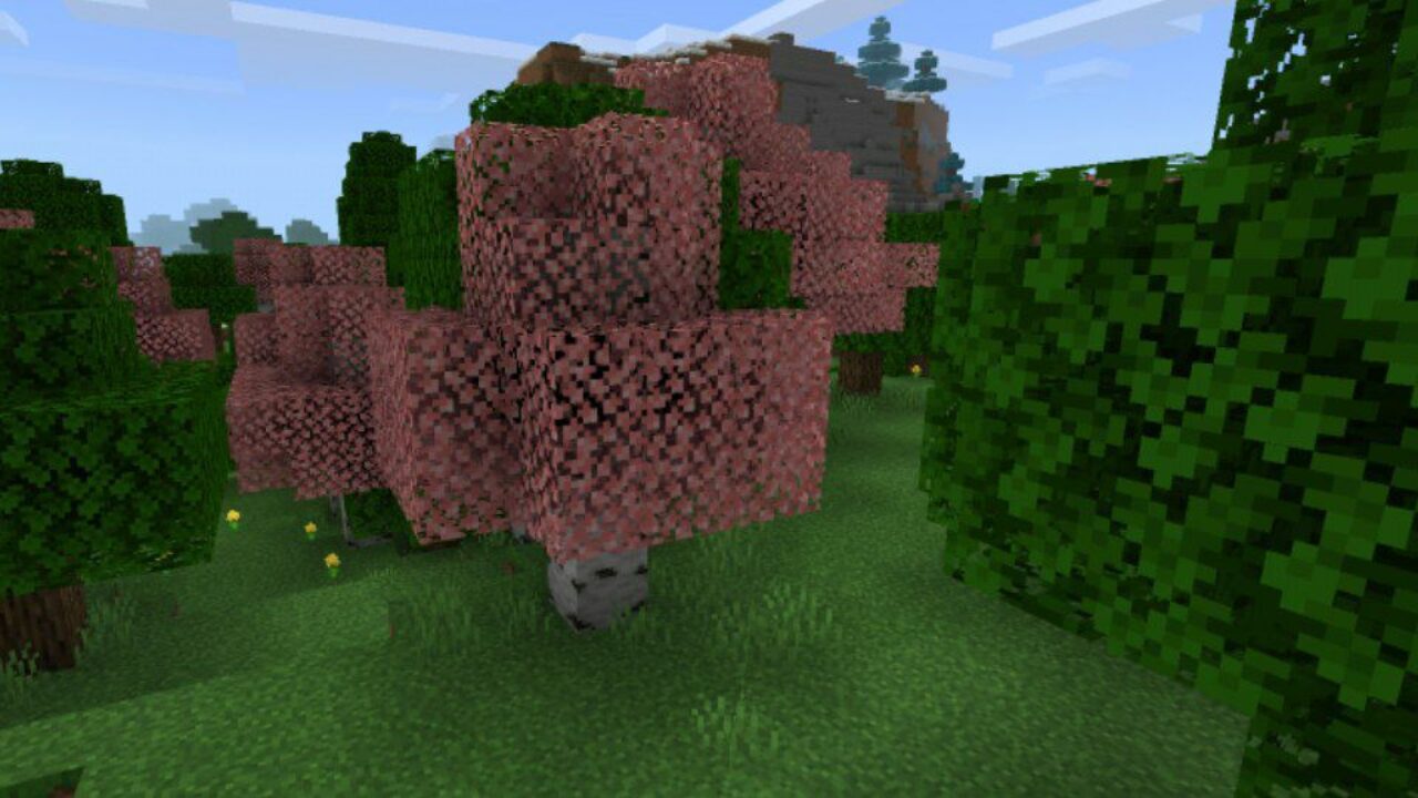 Forest from Grass Texture Pack for Minecraft PE