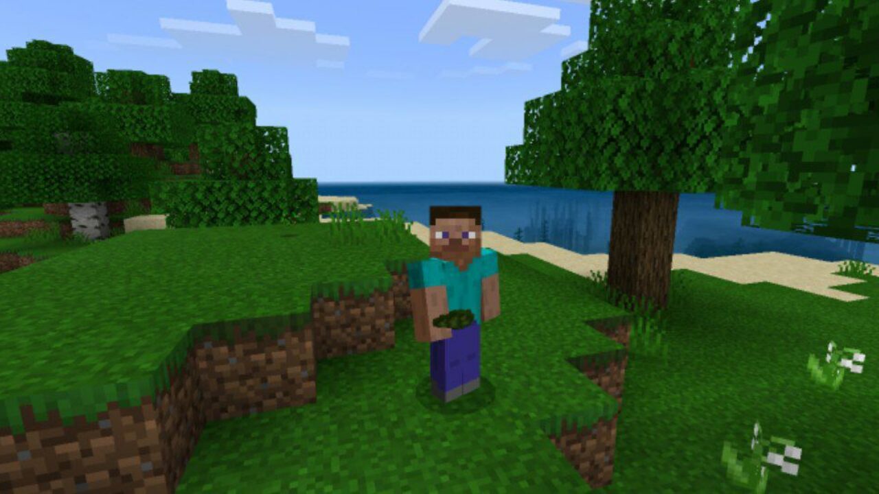 Grass Texture Pack for Minecraft PE