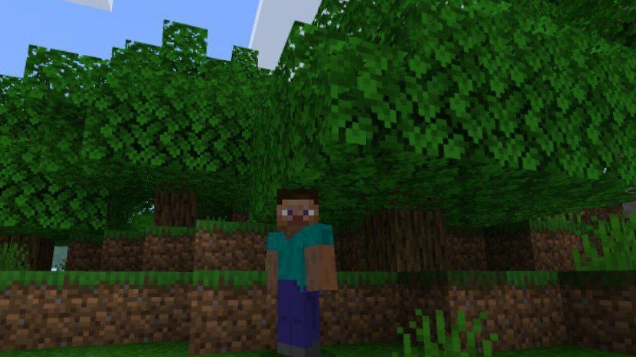 Steve and Vegetation from Grass Texture Pack for Minecraft PE