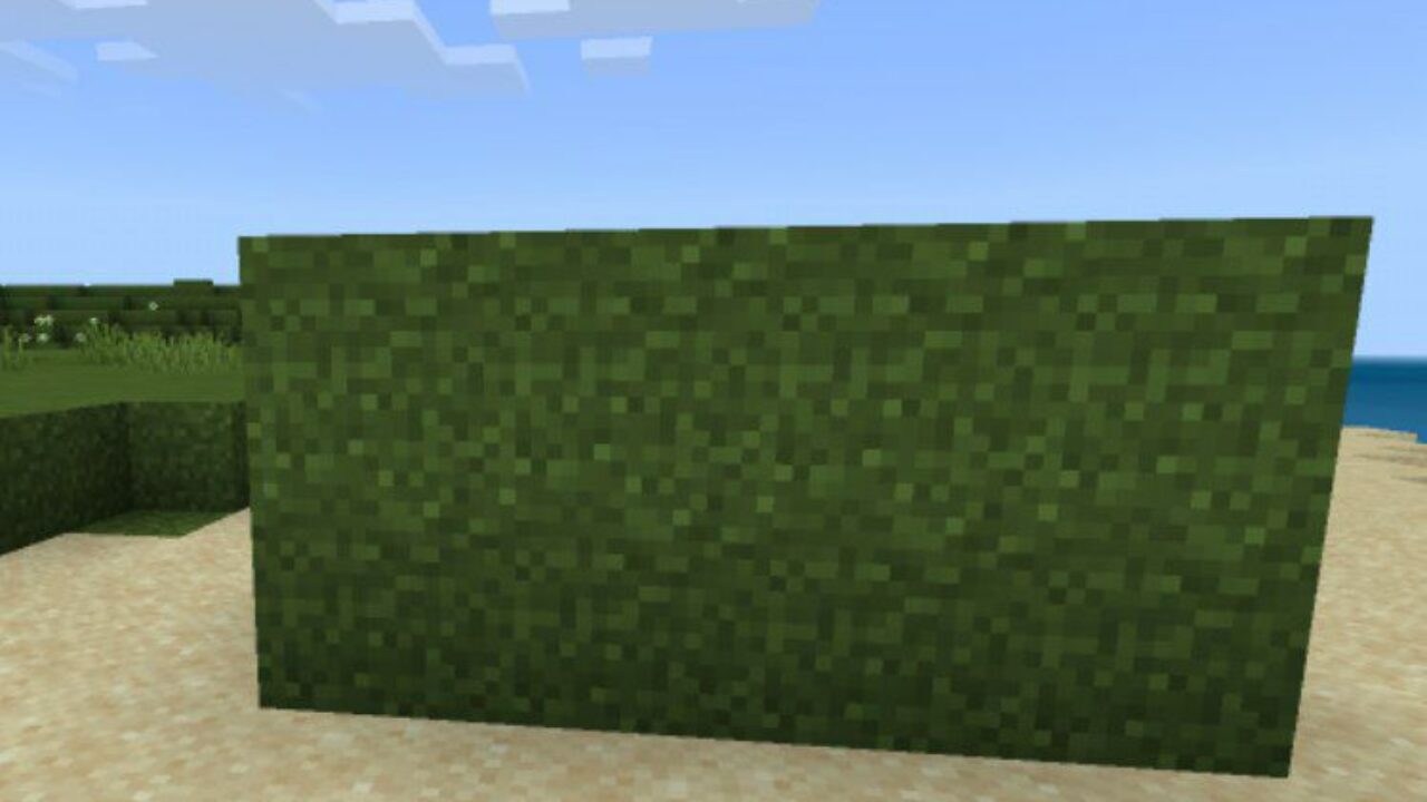 Full Grass Blocks from Grass Texture Pack for Minecraft PE