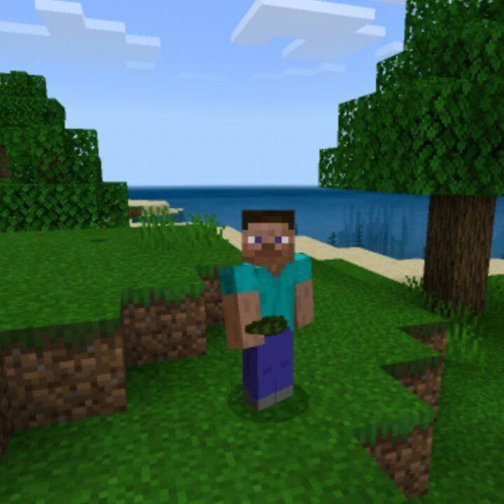 Grass Texture Pack for Minecraft PE