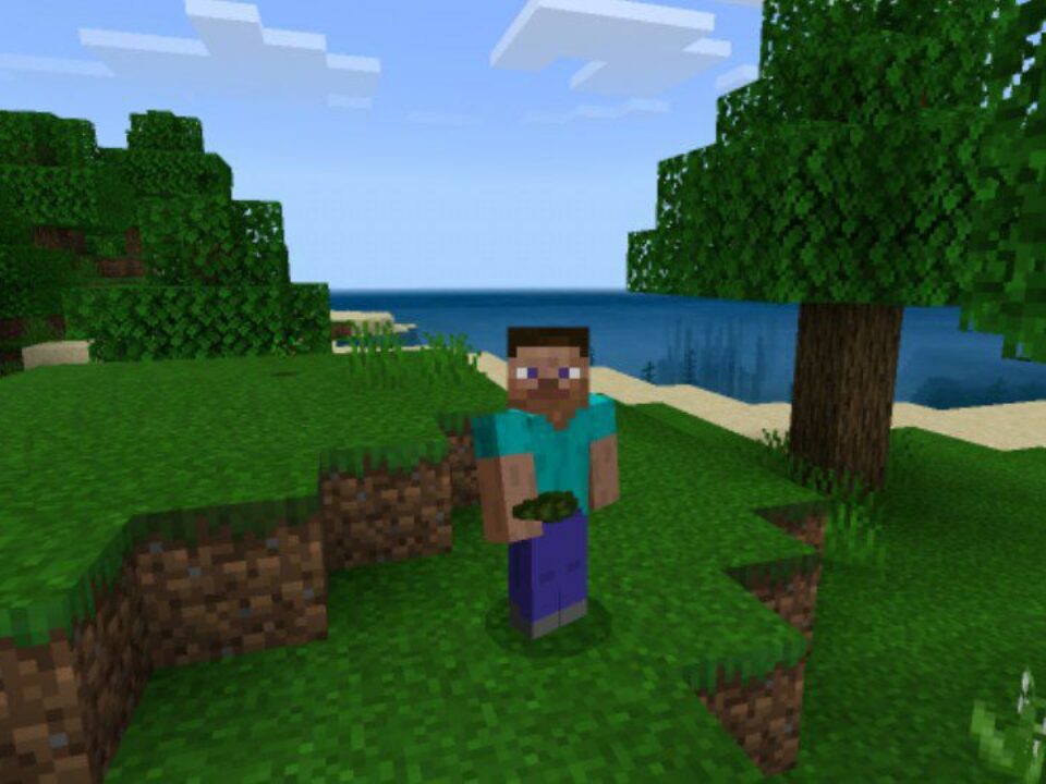 Grass Texture Pack for Minecraft PE