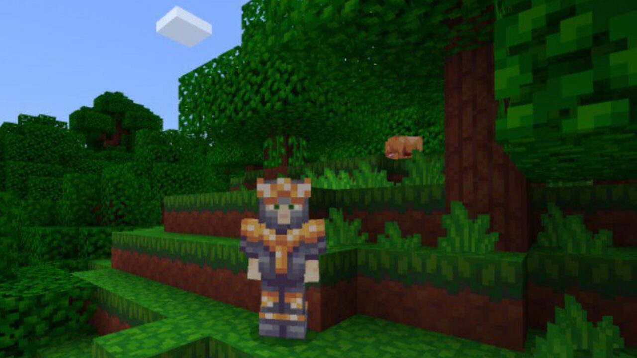 Different Armor from Woodpecker Texture Pack for Minecraft PE