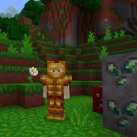 Woodpecker Texture Pack for Minecraft PE