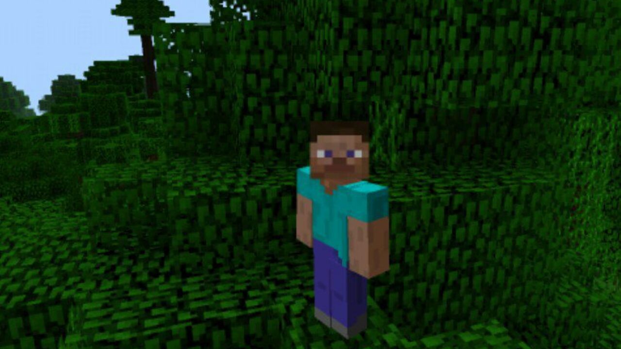 Steve and Nature from BDoubleo Texture Pack for Minecraft PE