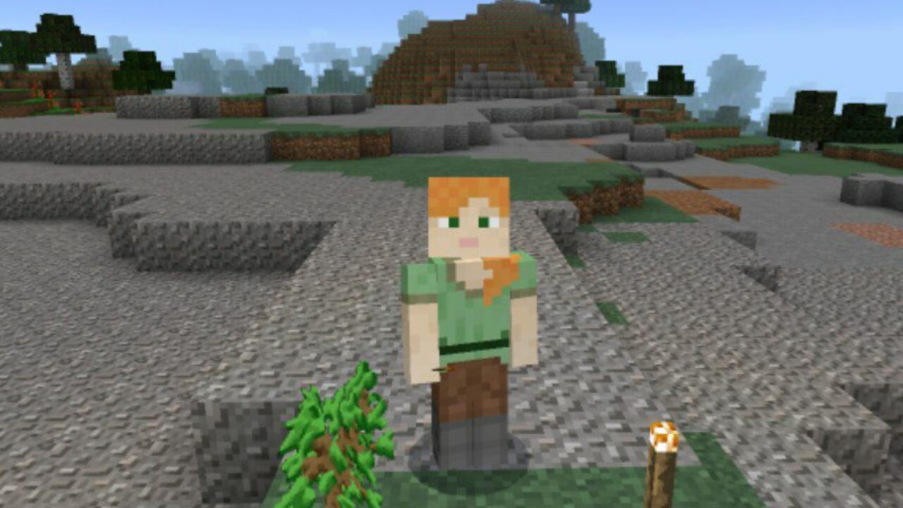 Steve and Animated Items from Animated Texture Pack for Minecraft PE