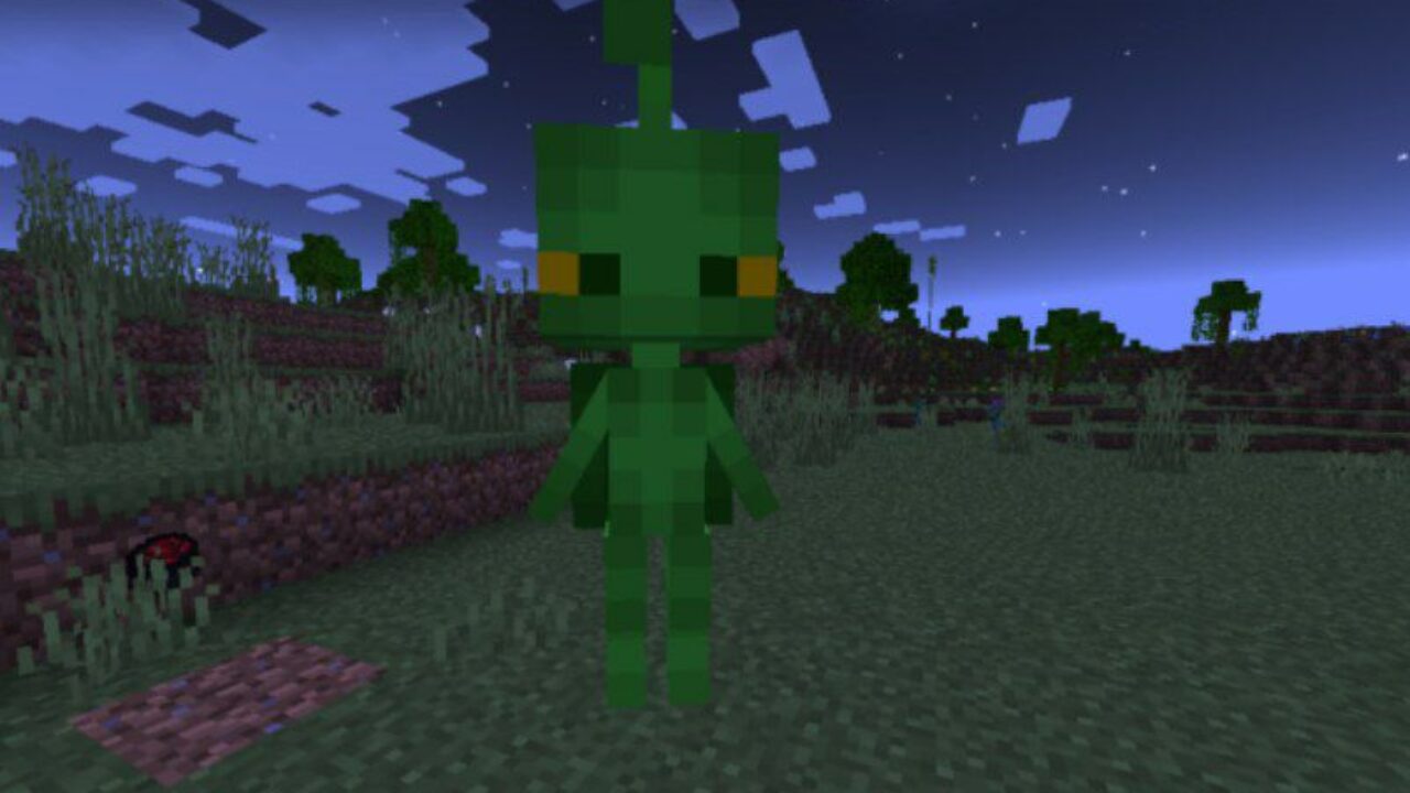 Turtle from Lady Bug Mod for Minecraft PE