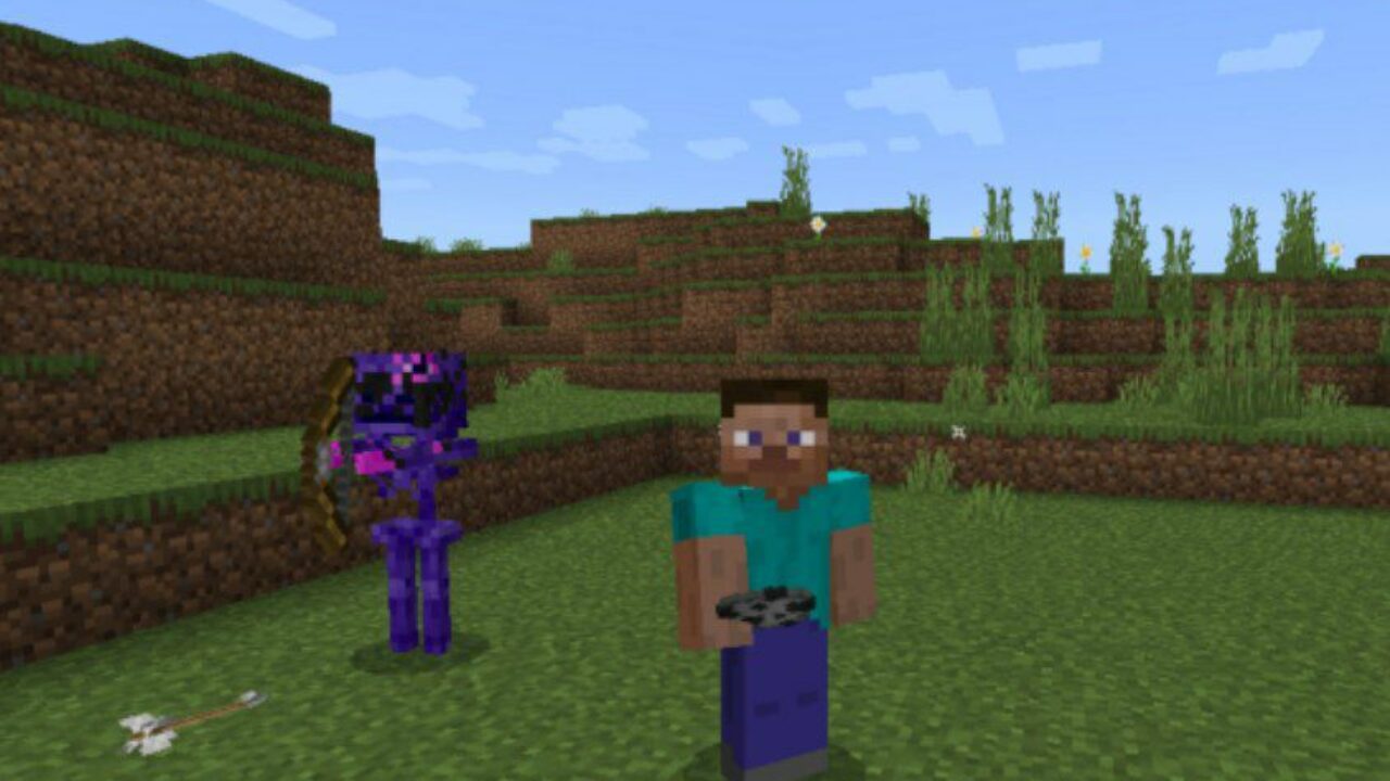 Steve and Skeleton from Lady Bug Mod for Minecraft PE