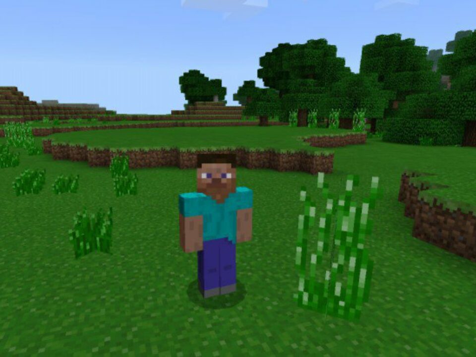 Old Texture Pack for Minecraft PE