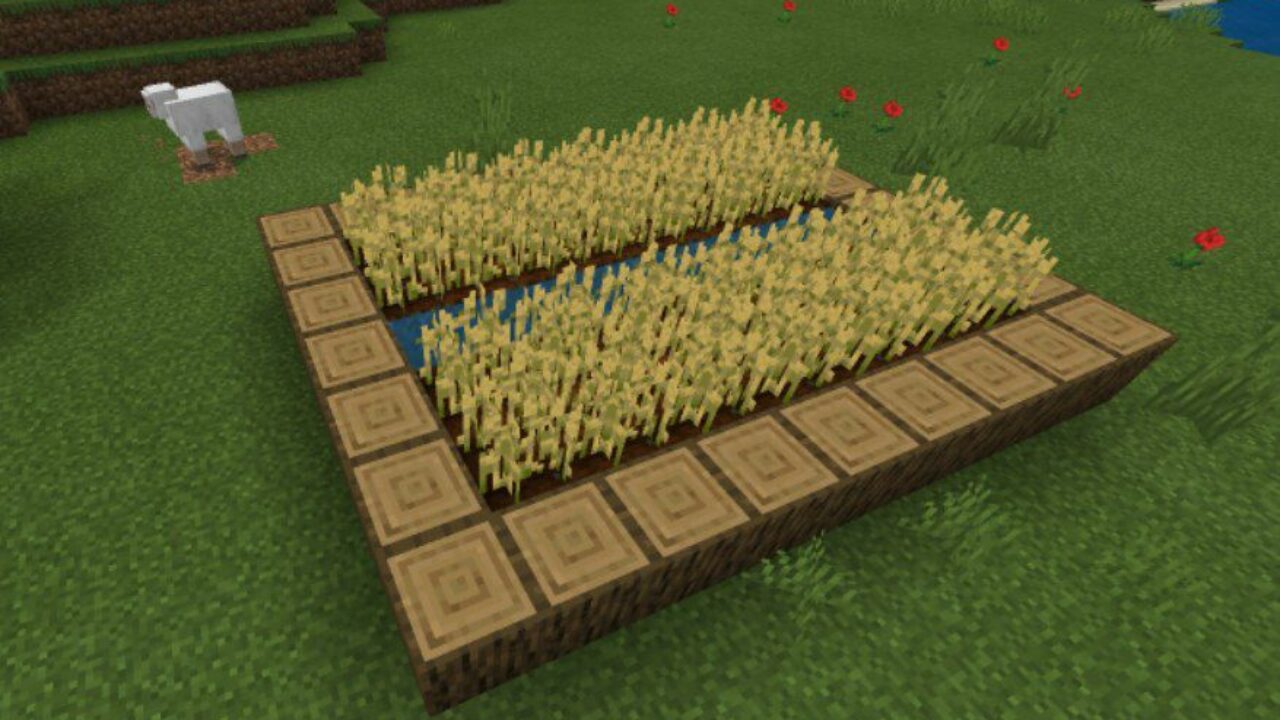 Farm from House Mod for Minecraft PE