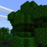 Tree Mod for Minecraft PE