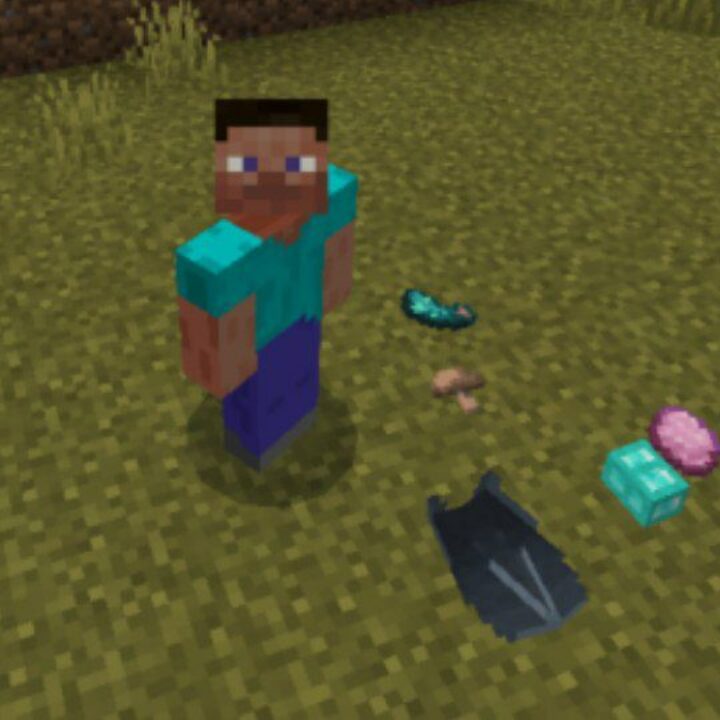 Item Physics Mod for Minecraft PE