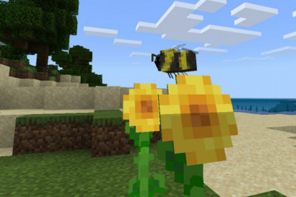 Hummingbird (bee) Minecraft Texture Pack