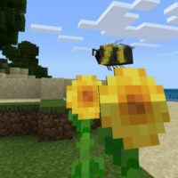 Bee Texture Pack for Minecraft PE