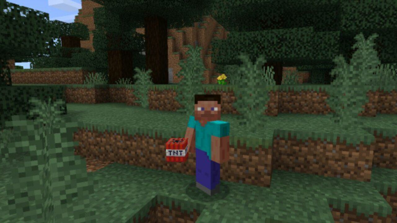 Steve and TNT Block from Dynamite Mod for Minecraft PE