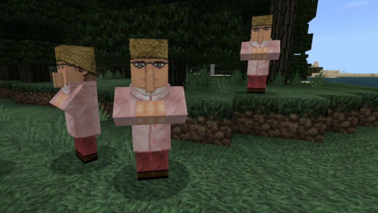 Villagers from Medieval Texture Pack for Minecraft PE