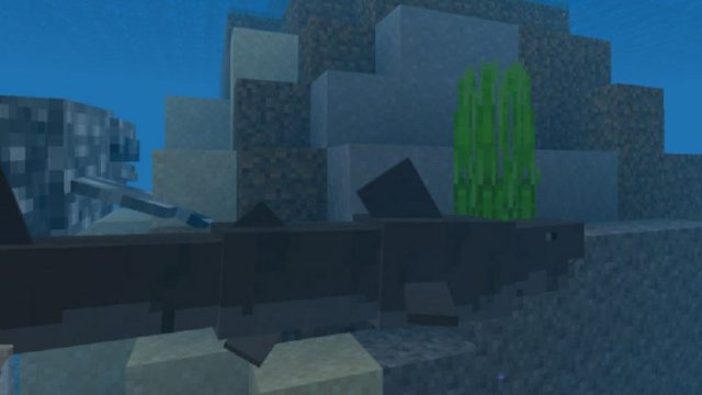 Download Whale And Killer Whale Mod For Minecraft Pe