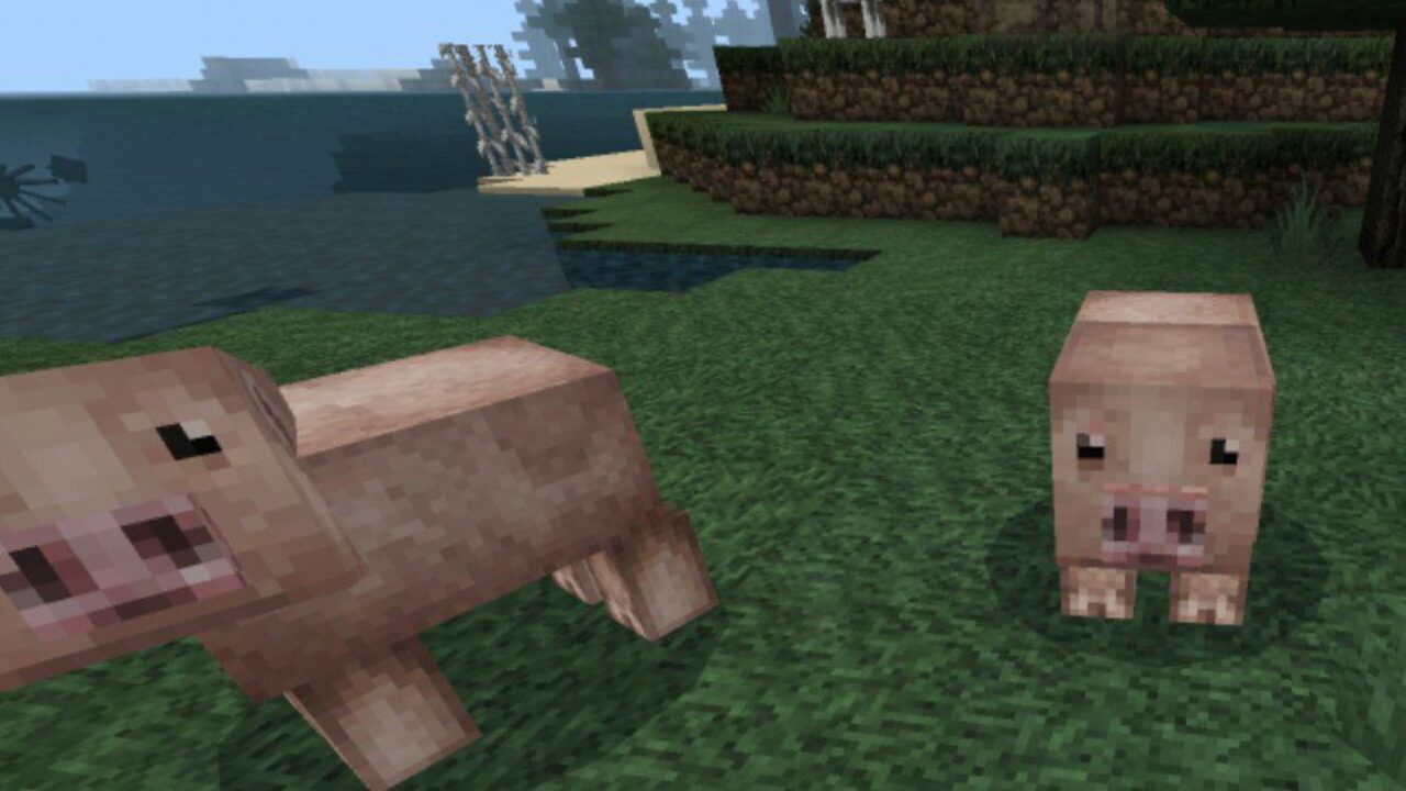 Pigs from Medieval Texture Pack for Minecraft PE