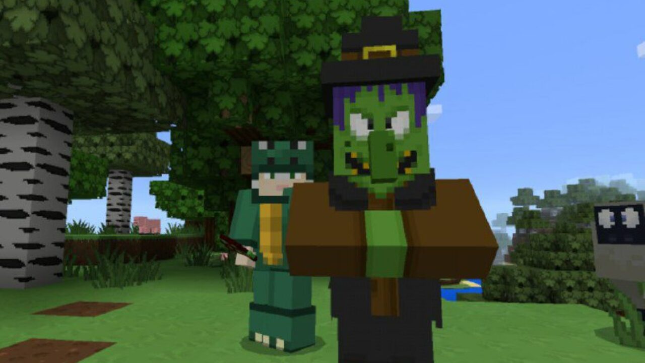 Witch from Cartoon Texture Pack for Minecraft PE