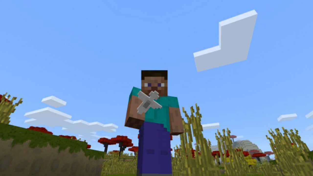 Steve and New Items from Japanese Texture Pack for Minecraft PE