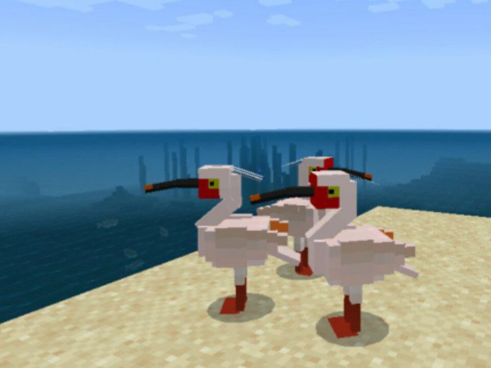 Birds Mod for Minecraft PE