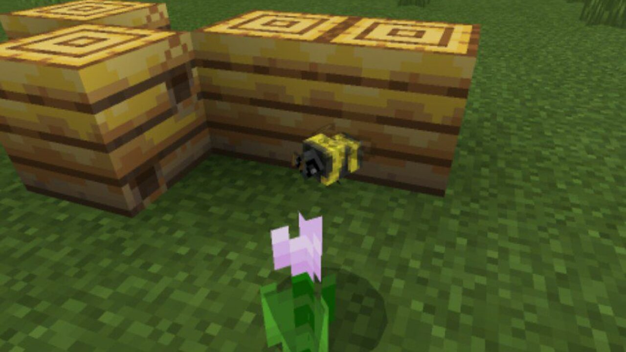 New Mobs from Bee Texture Pack for Minecraft PE