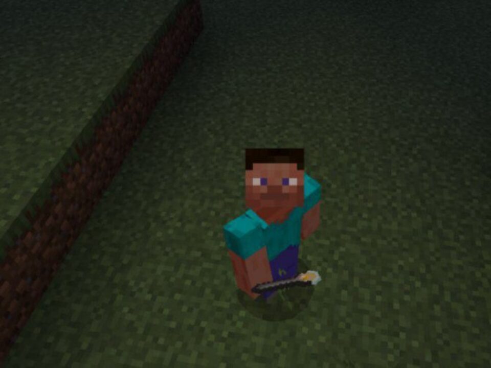 Flashlight Mod for Minecraft PE