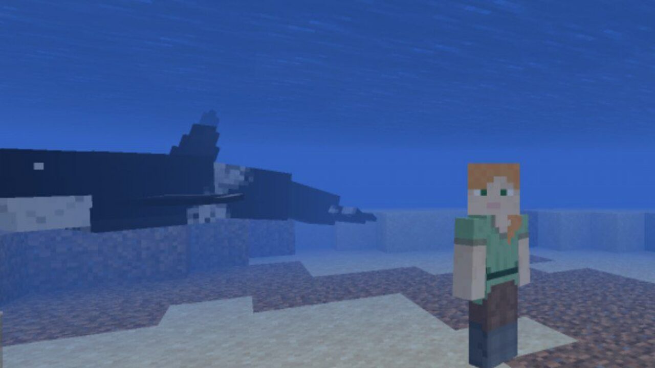 Whale Mod for Minecraft PE