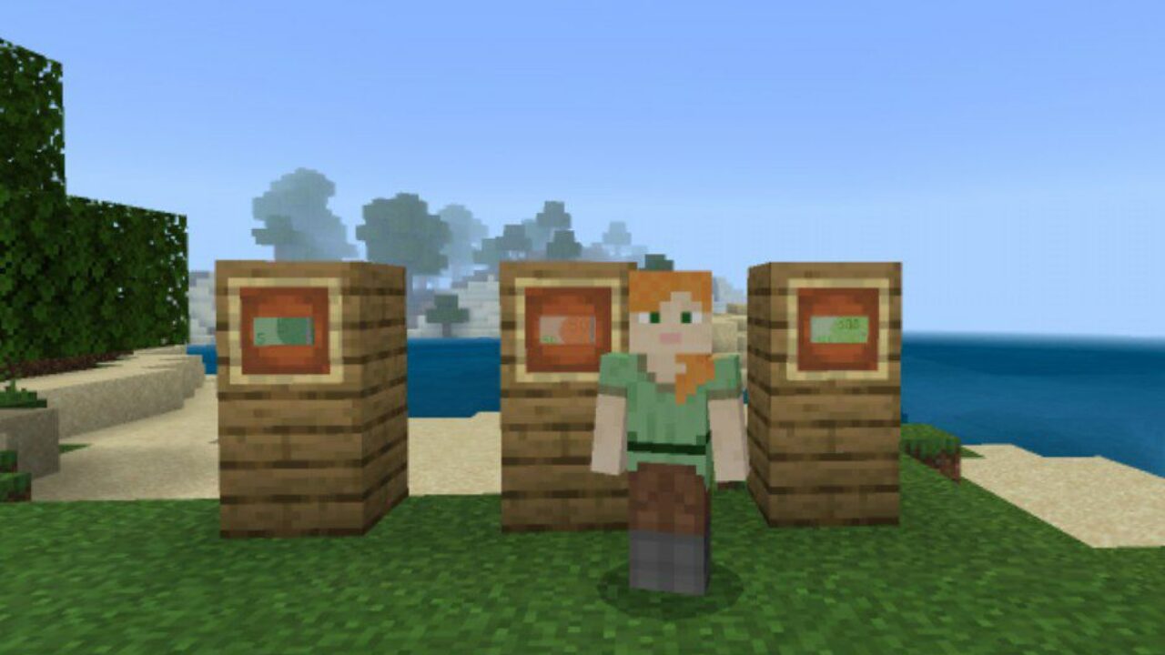 Different Types from Money Mod for Minecraft PE