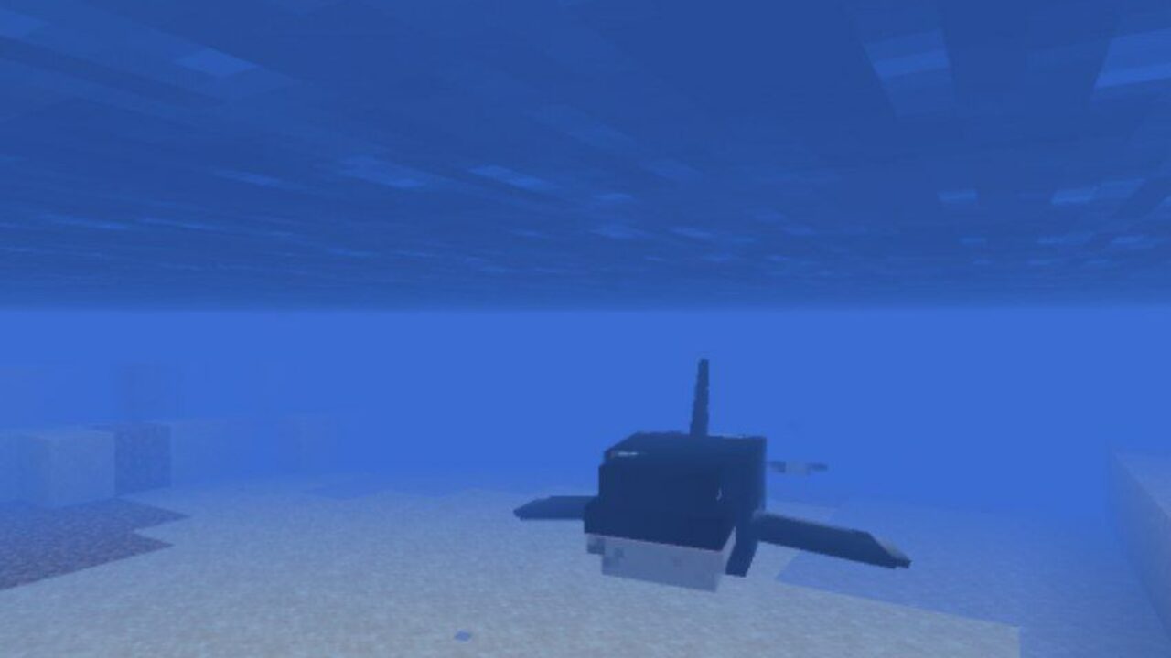 Killer Whale from Whale Mod for Minecraft PE