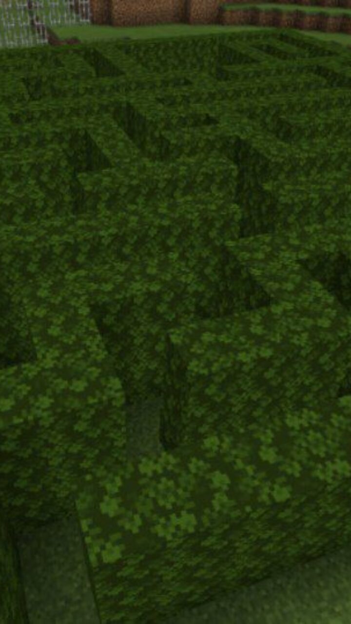 Maze from Starting Map for Minecraft PE