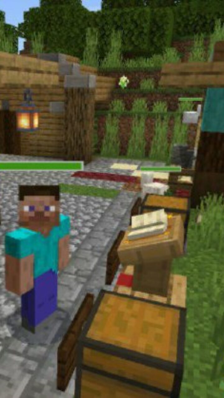 Village from Dungeon Map for Minecraft PE