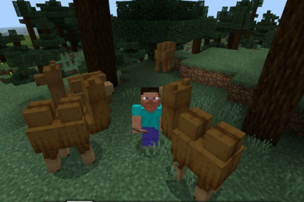 Camel mod for Minecraft PE 1.0.8