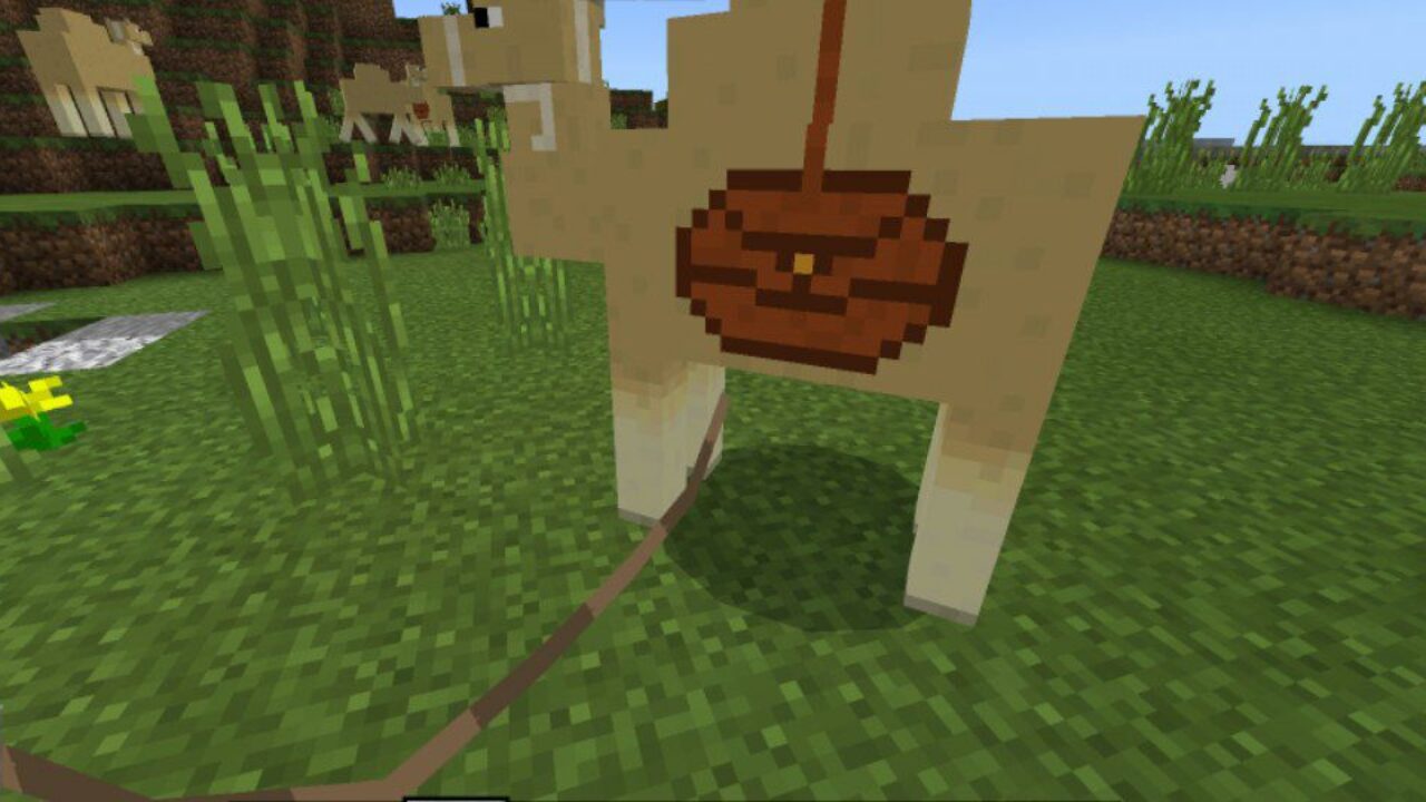 Features from Camel Mod for Minecraft PE