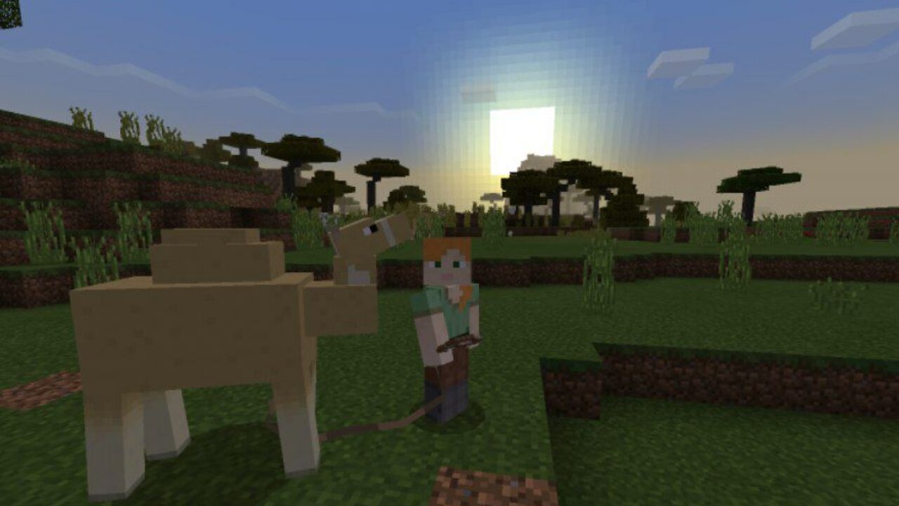 New Mob from Camel Mod for Minecraft PE