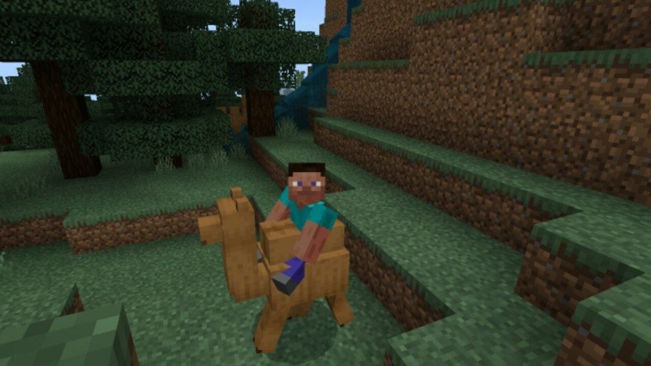 Riding a Camel from Camel Mod for Minecraft PE