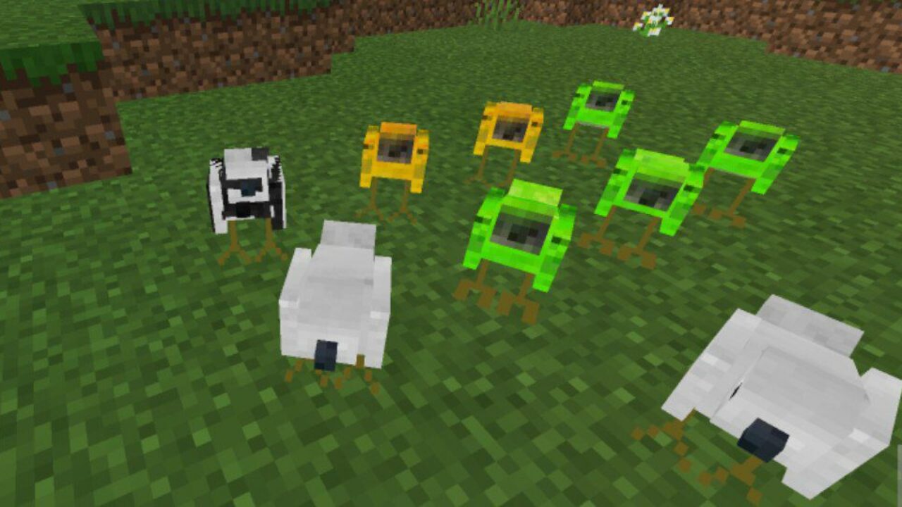 Birds from Rats Mod for Minecraft PE