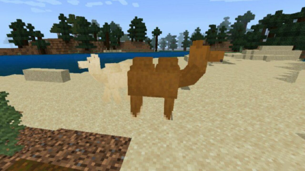 Camels from Horse Mod for Minecraft PE