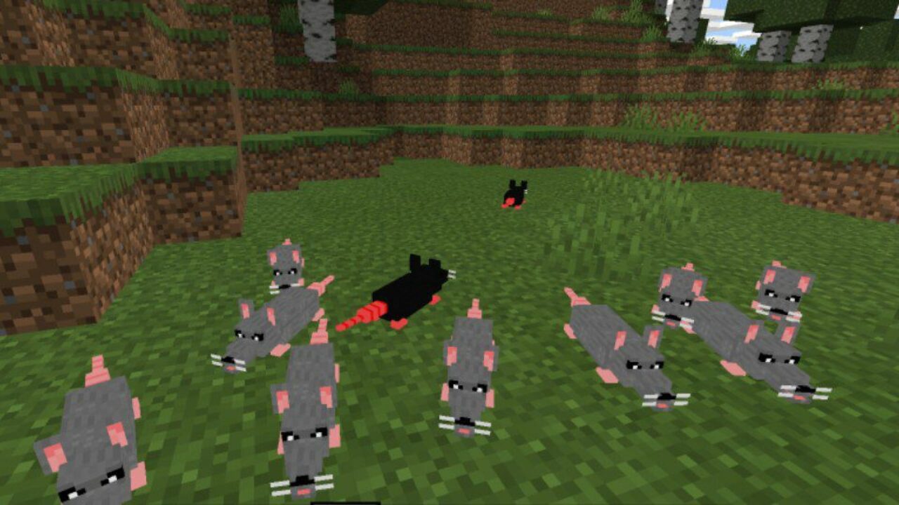 Grey Rats from Rats Mod for Minecraft PE