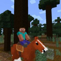 Horse Mod for Minecraft PE