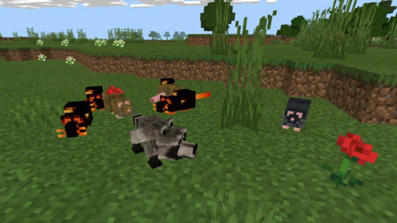 More Rats from Rats Mod for Minecraft PE