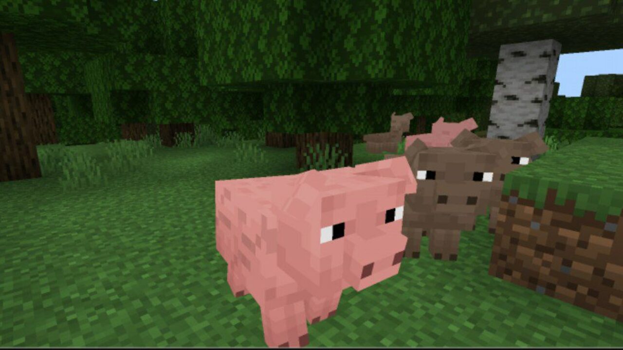 Pigs from Farming Mod for Minecraft PE