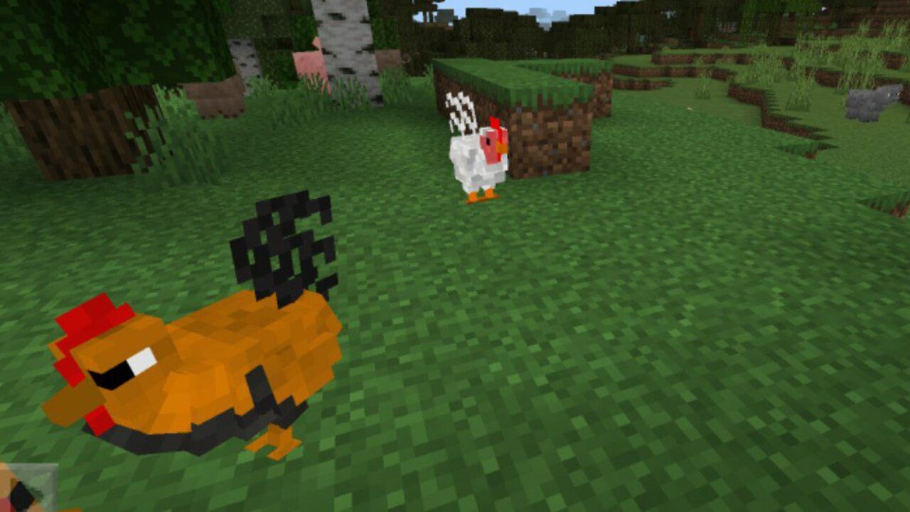 Roosters from Farming Mod for Minecraft PE